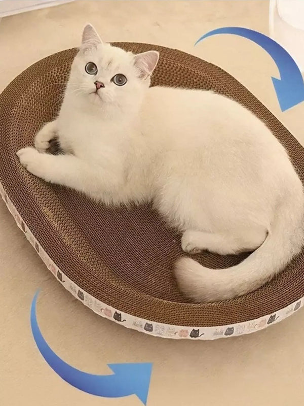 The Cat Scratching Lounge