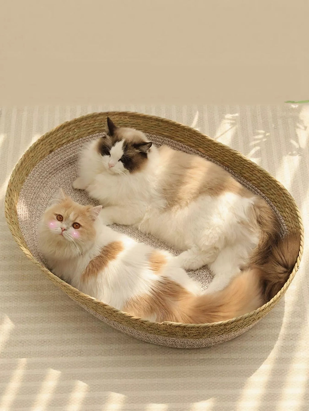 The Woven Rattan Cat Nest