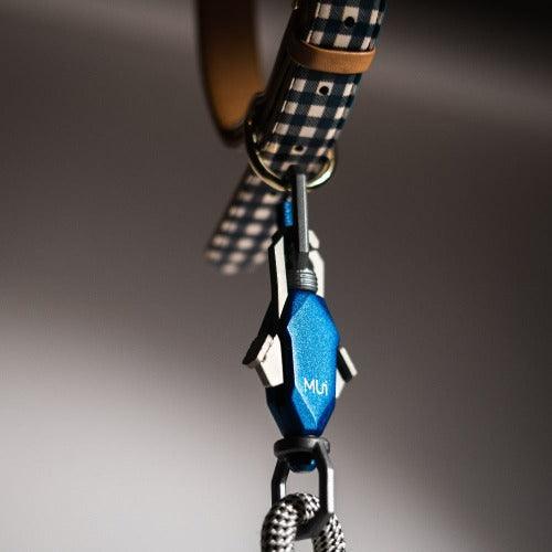 The Magnetic Leash