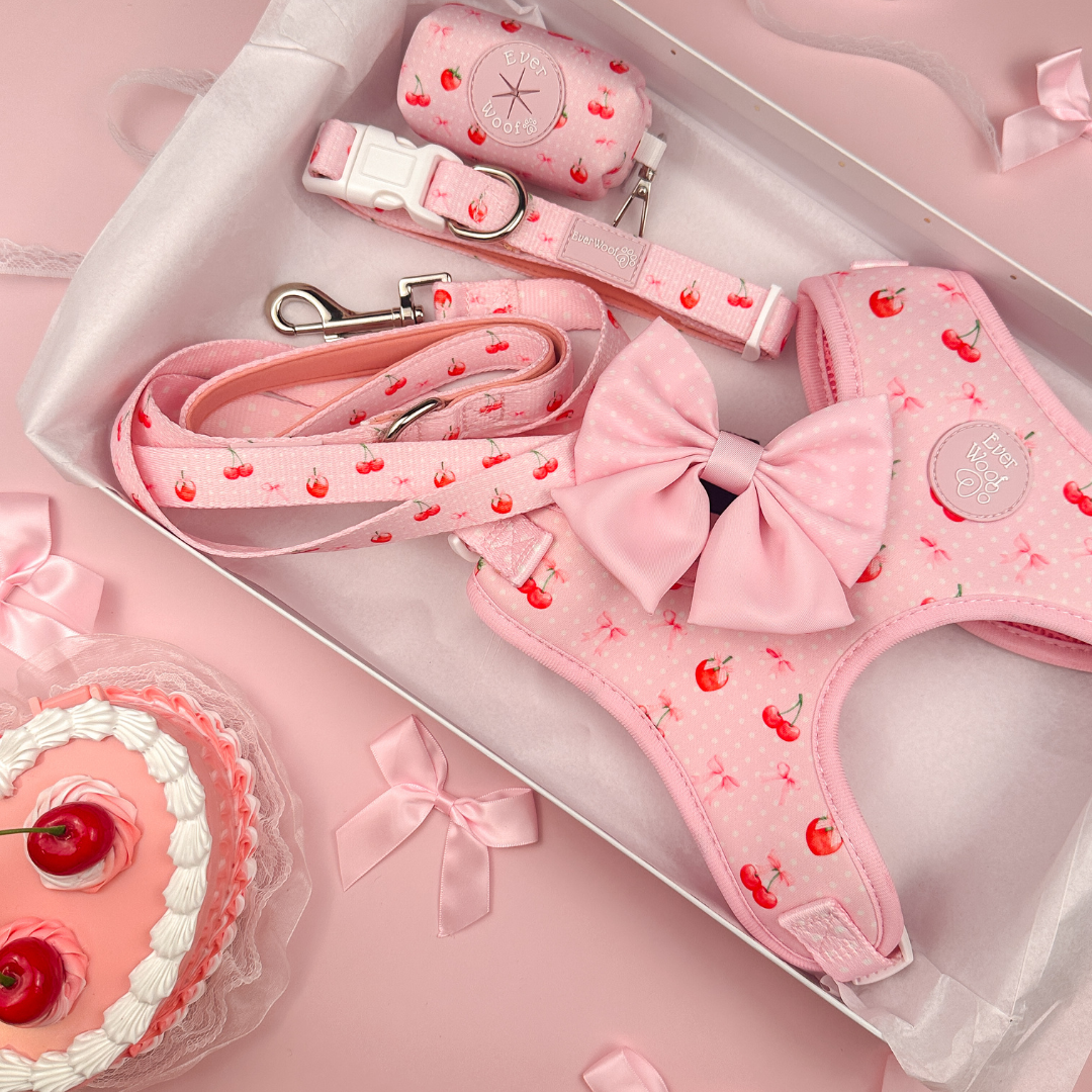 The Sweet Chérie Harness