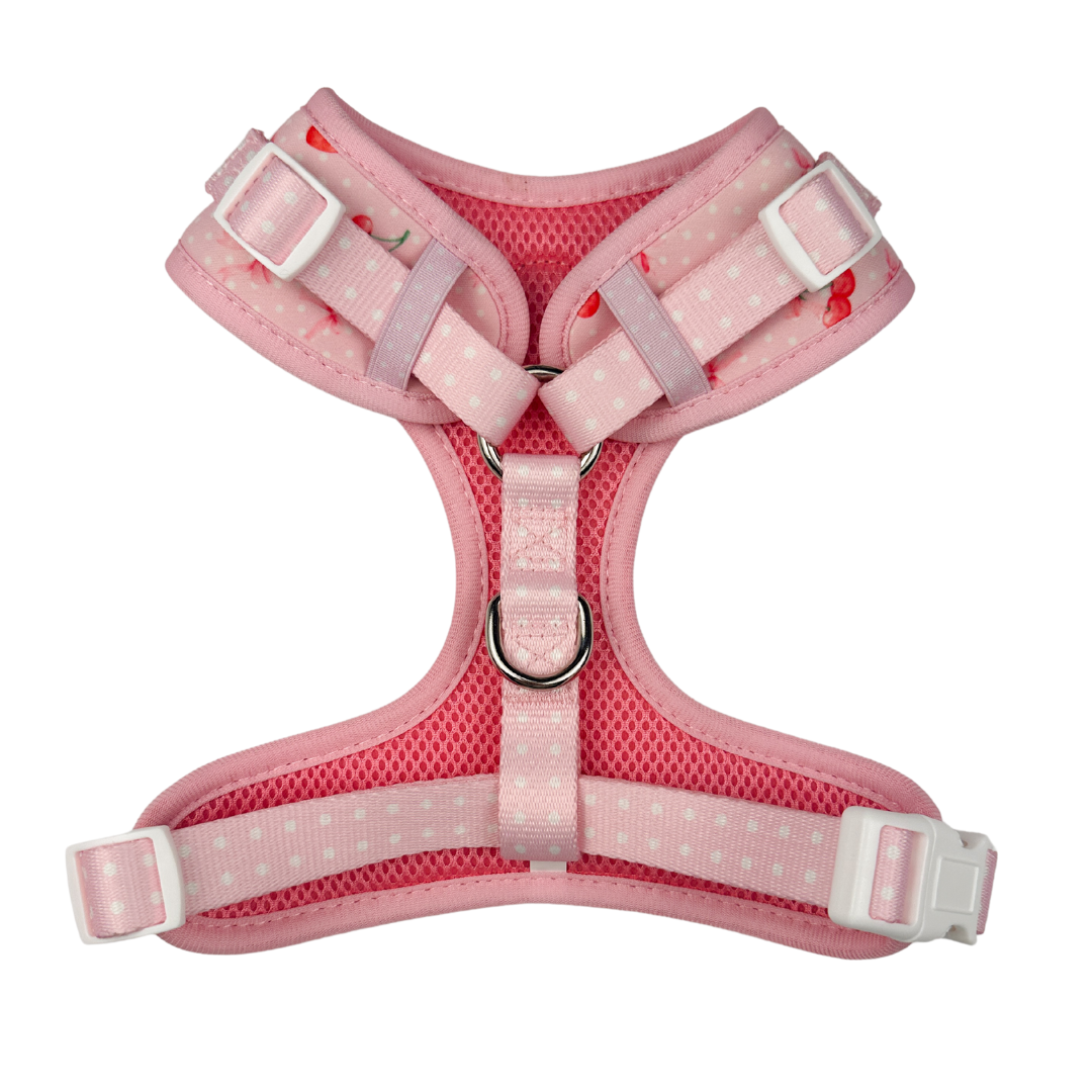 The Sweet Chérie Harness