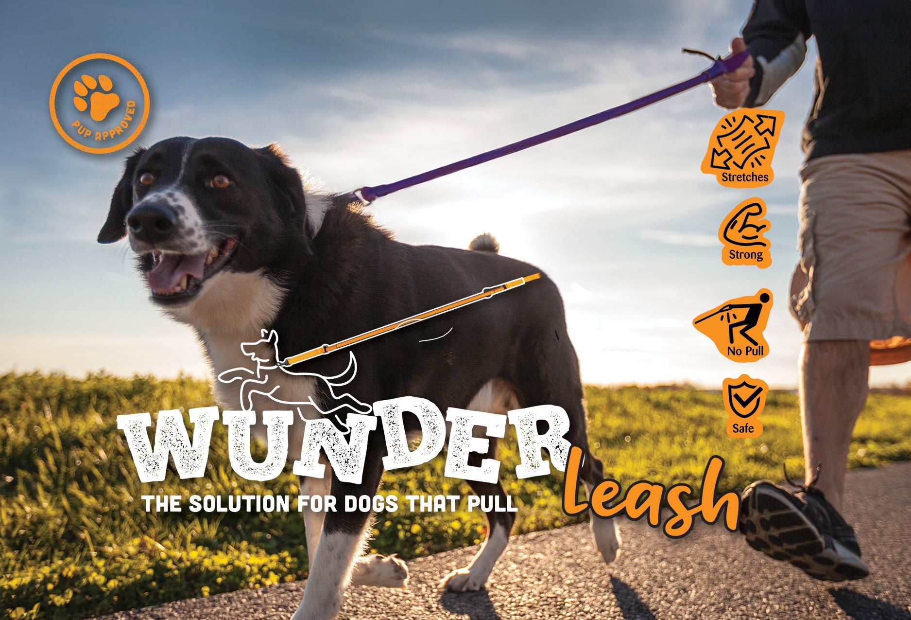 The No-Pull Rubber Leash