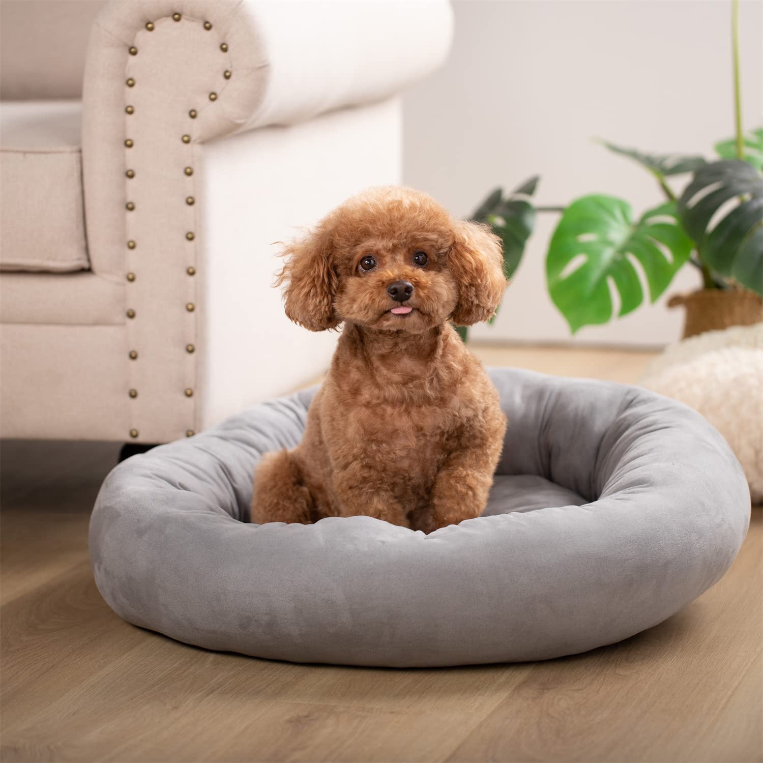 The Cozy Donut Bed