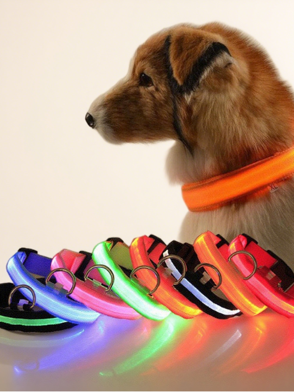 The LED Safety Collar, Red