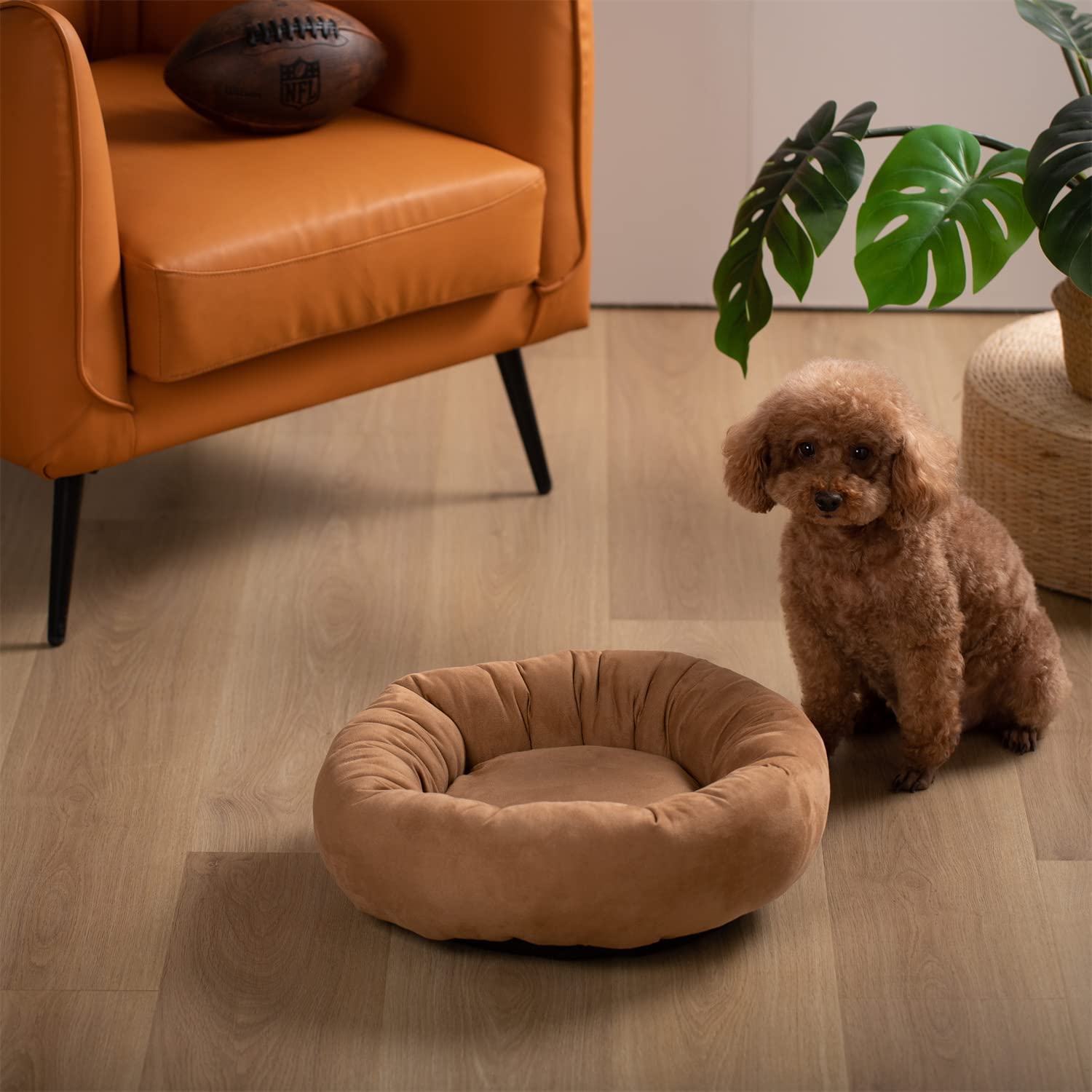 The Cozy Donut Bed