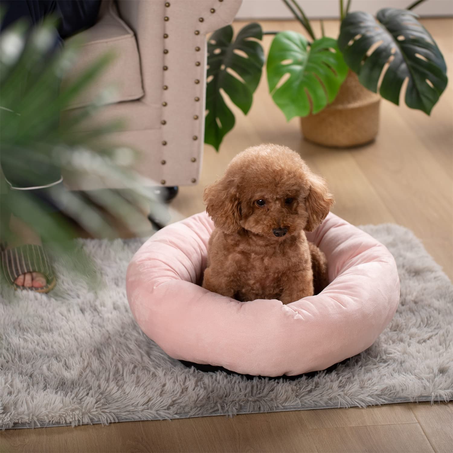 The Cozy Donut Bed
