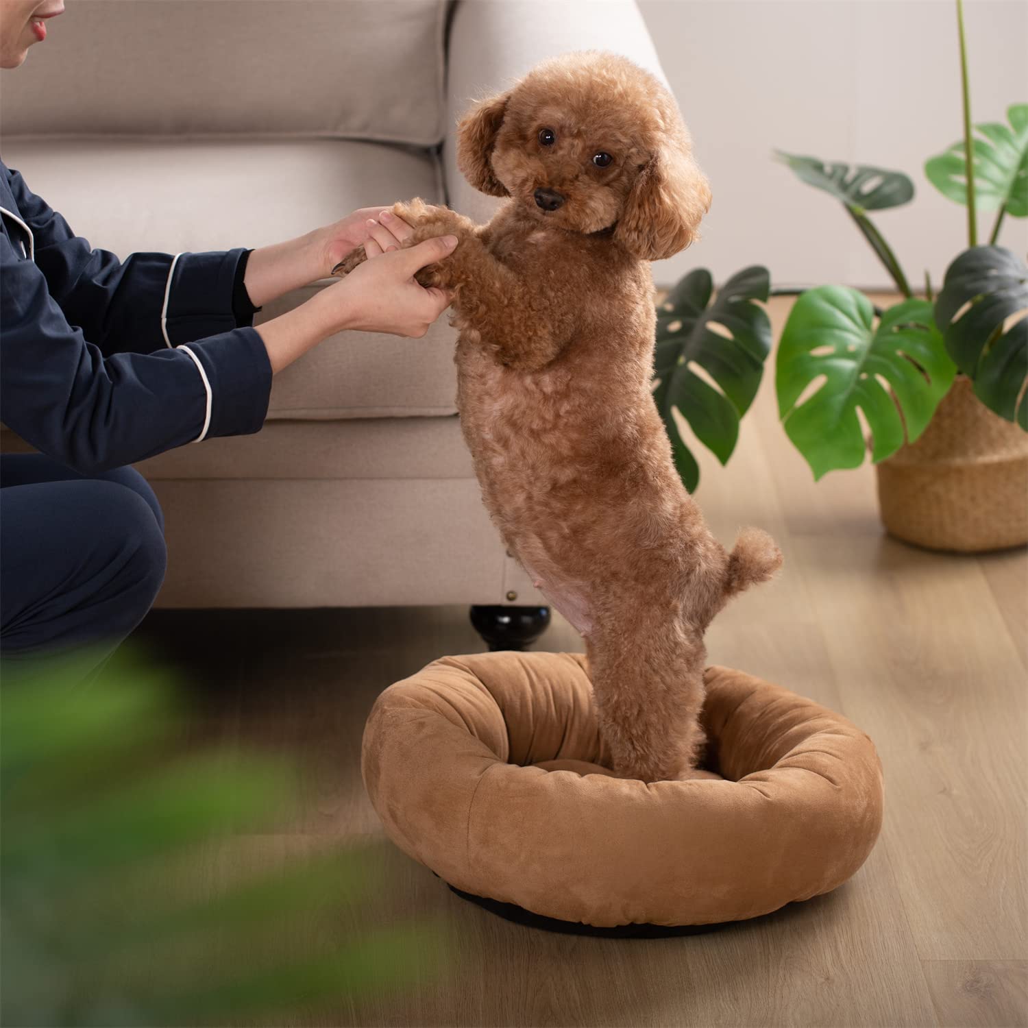 The Cozy Donut Bed