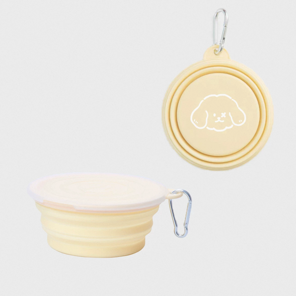 The Foldable Travel Bowl