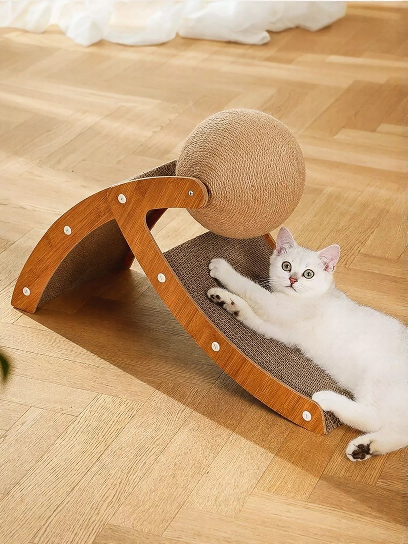 The Ball & Ramp Cat Scratcher