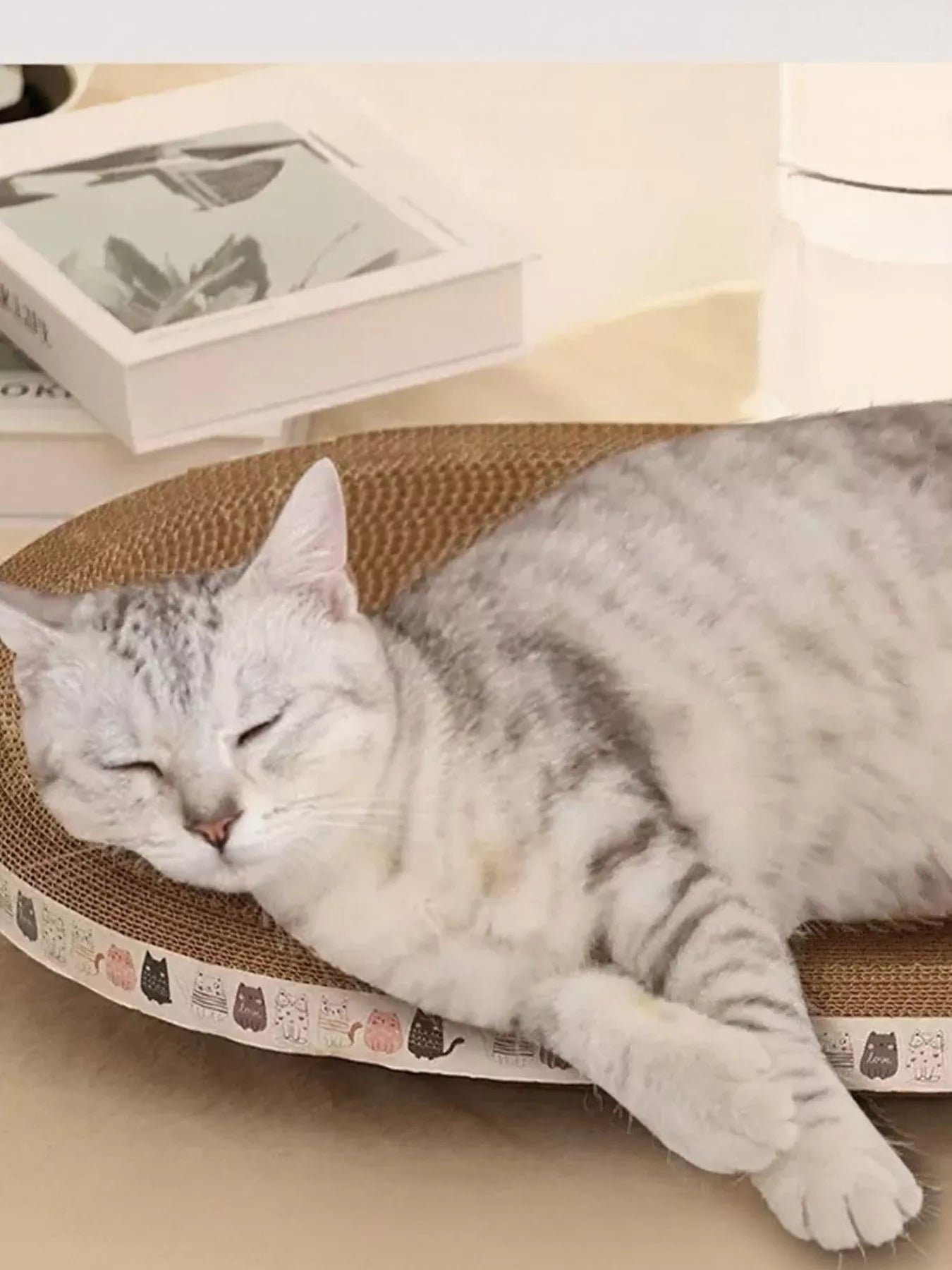 The Cat Scratching Lounge