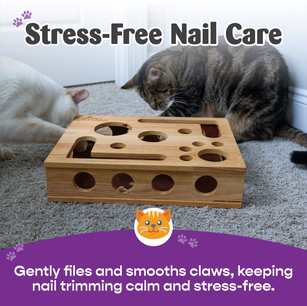 The Cat Nail-File Enrichment Box