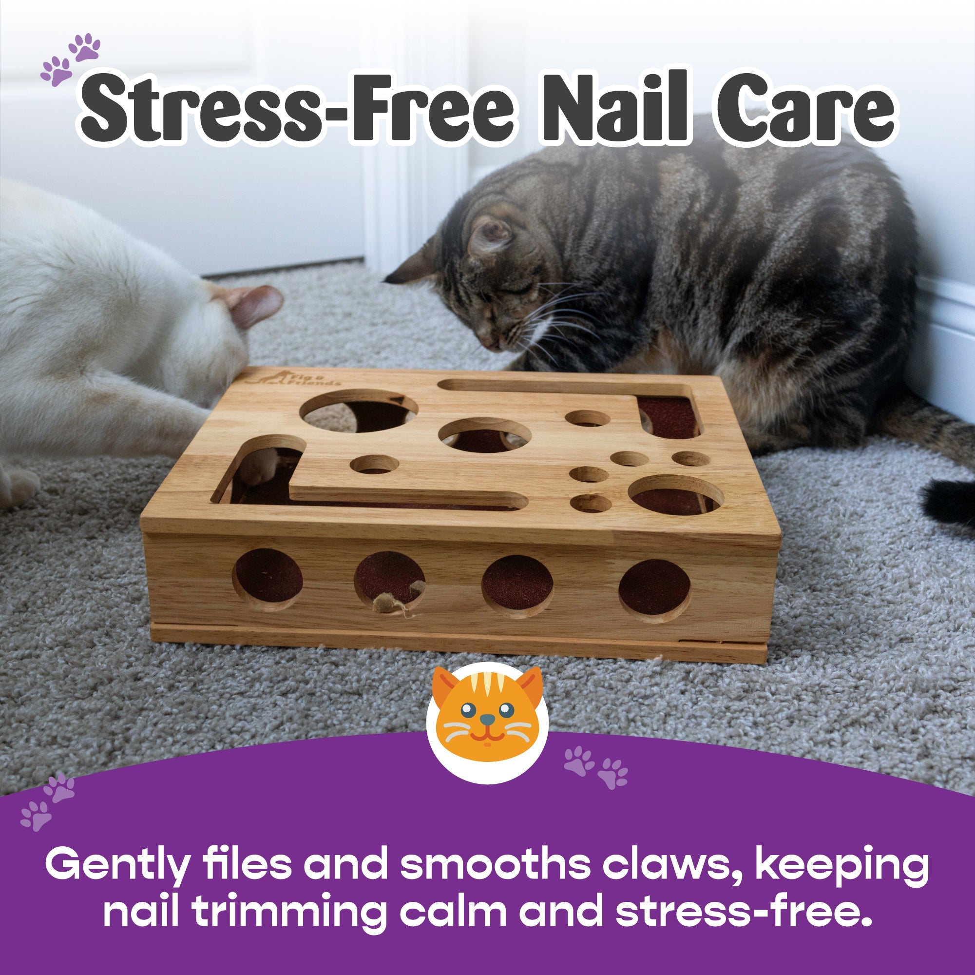 The Cat Nail-File Enrichment Box