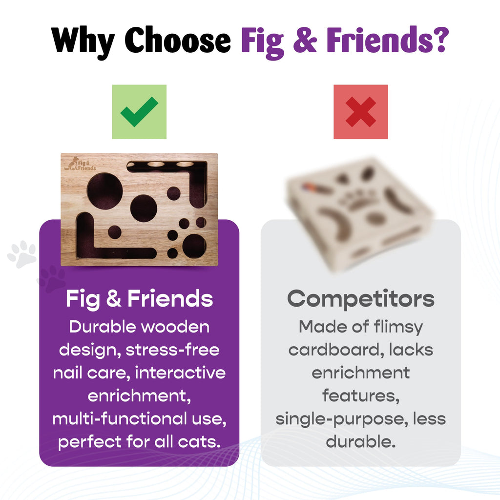 The Cat Nail-File Enrichment Box