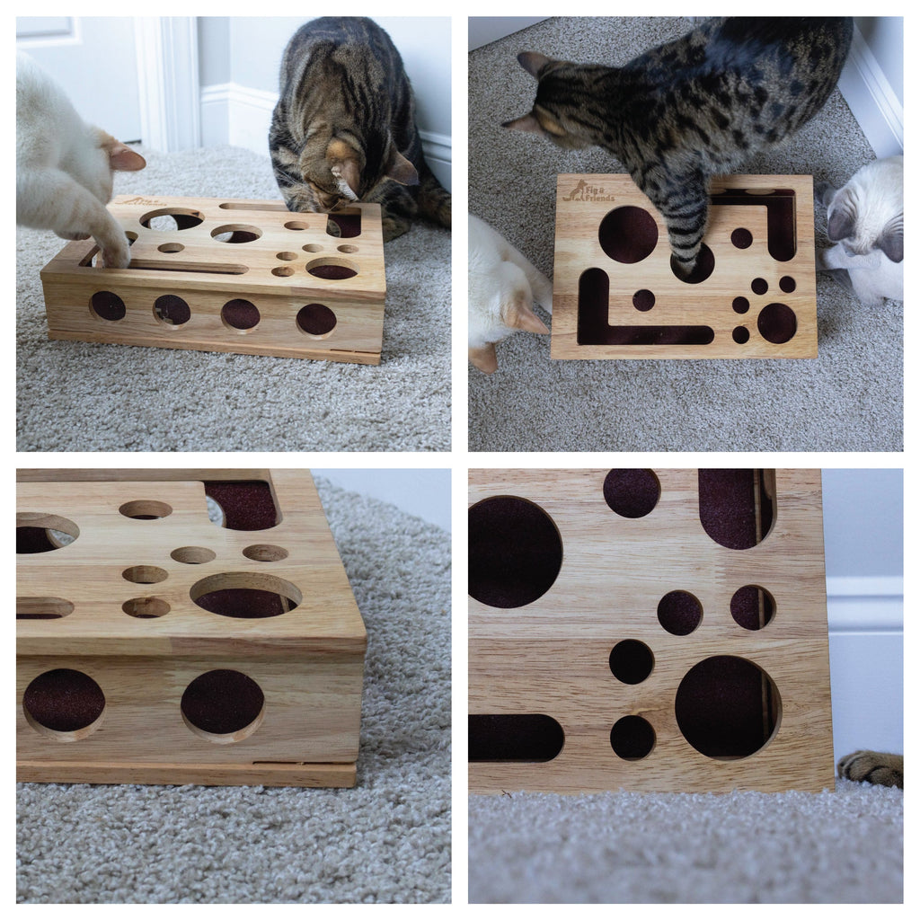 The Cat Nail-File Enrichment Box