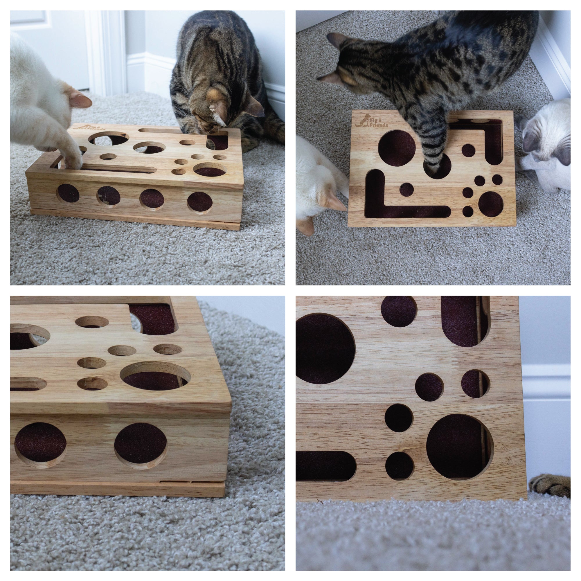 The Cat Nail-File Enrichment Box