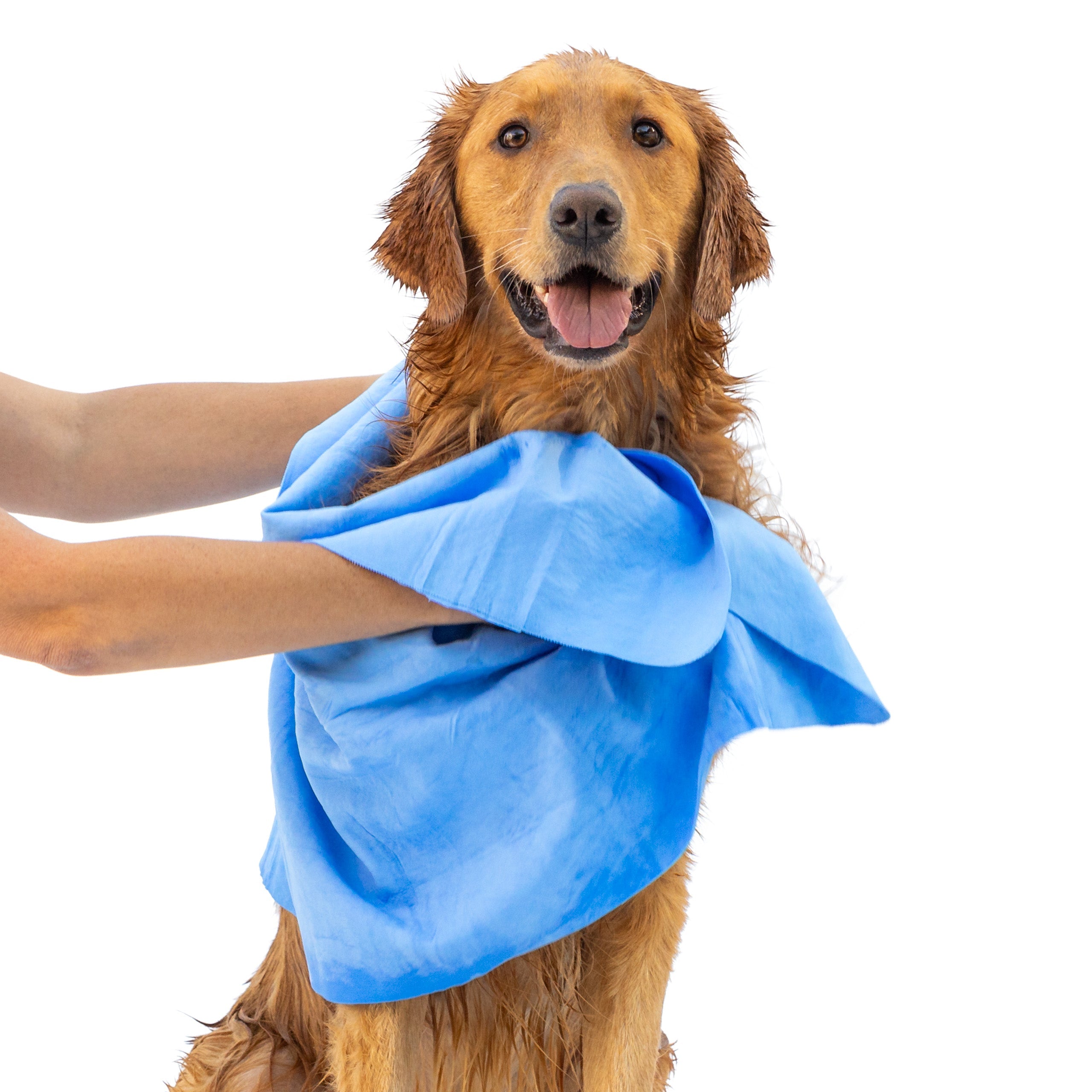 The Quick-Dry Shammy Towel