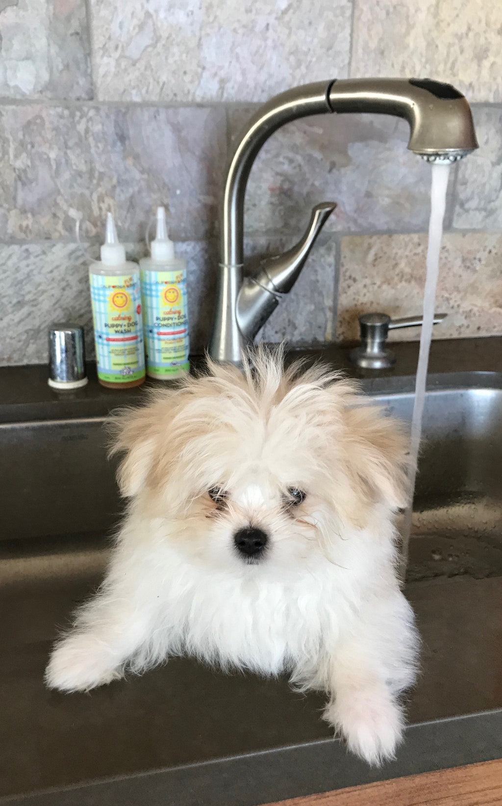 The Fur Baby Wash & Conditioner Set
