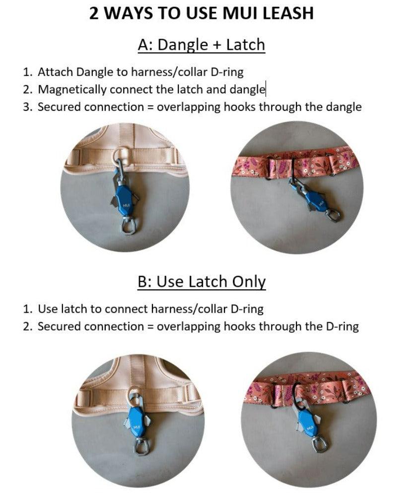 The Magnetic Leash