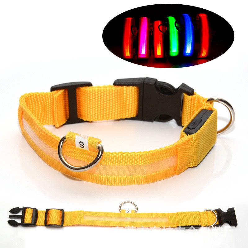 The LED Safety Collar, Yellow