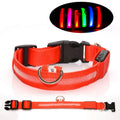 The LED Safety Collar, Red