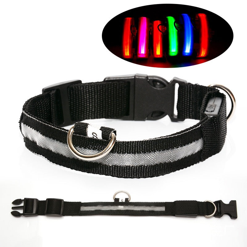 The LED Safety Collar, Rainbow