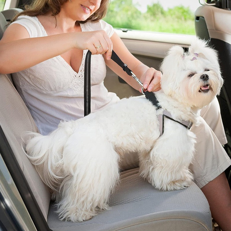 The Adjustable Car Seat Belt