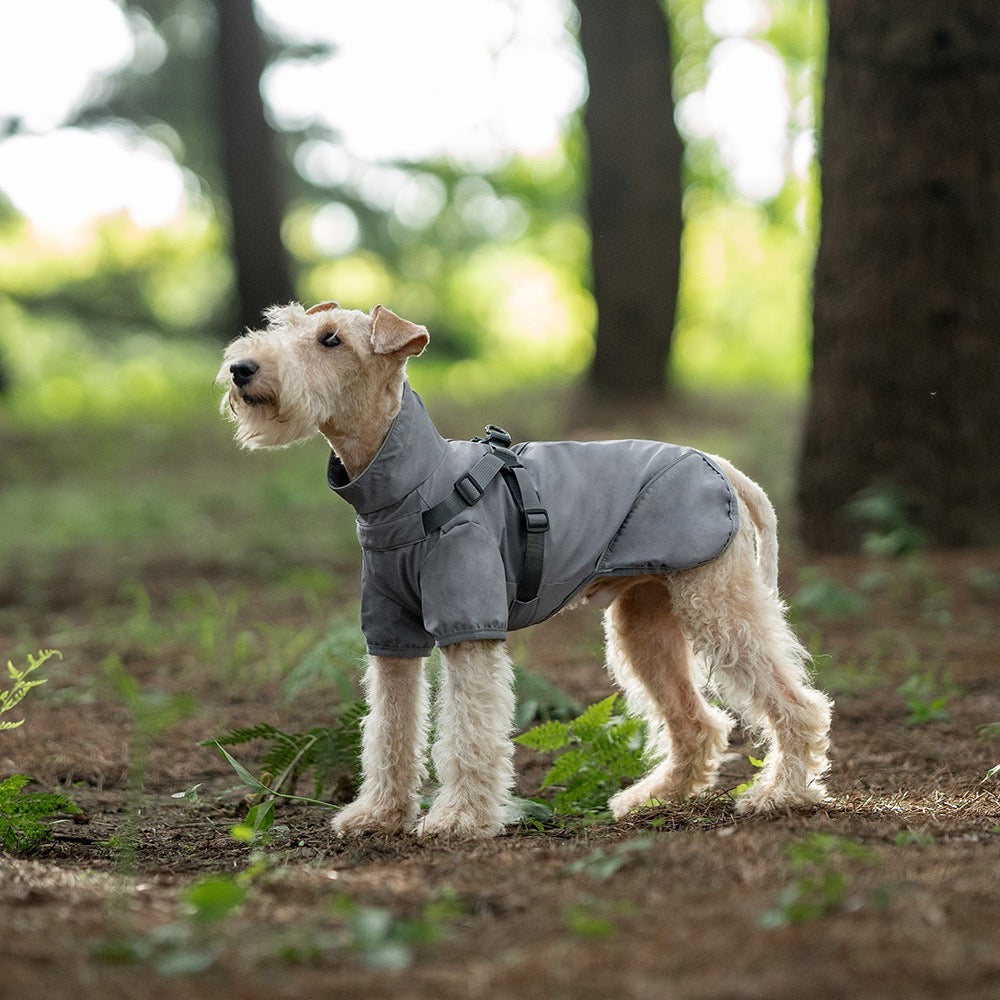 The Reflective Rain Jacket