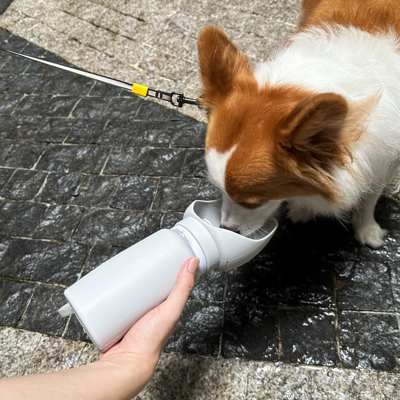 The Collapsible Travel Water Bottle