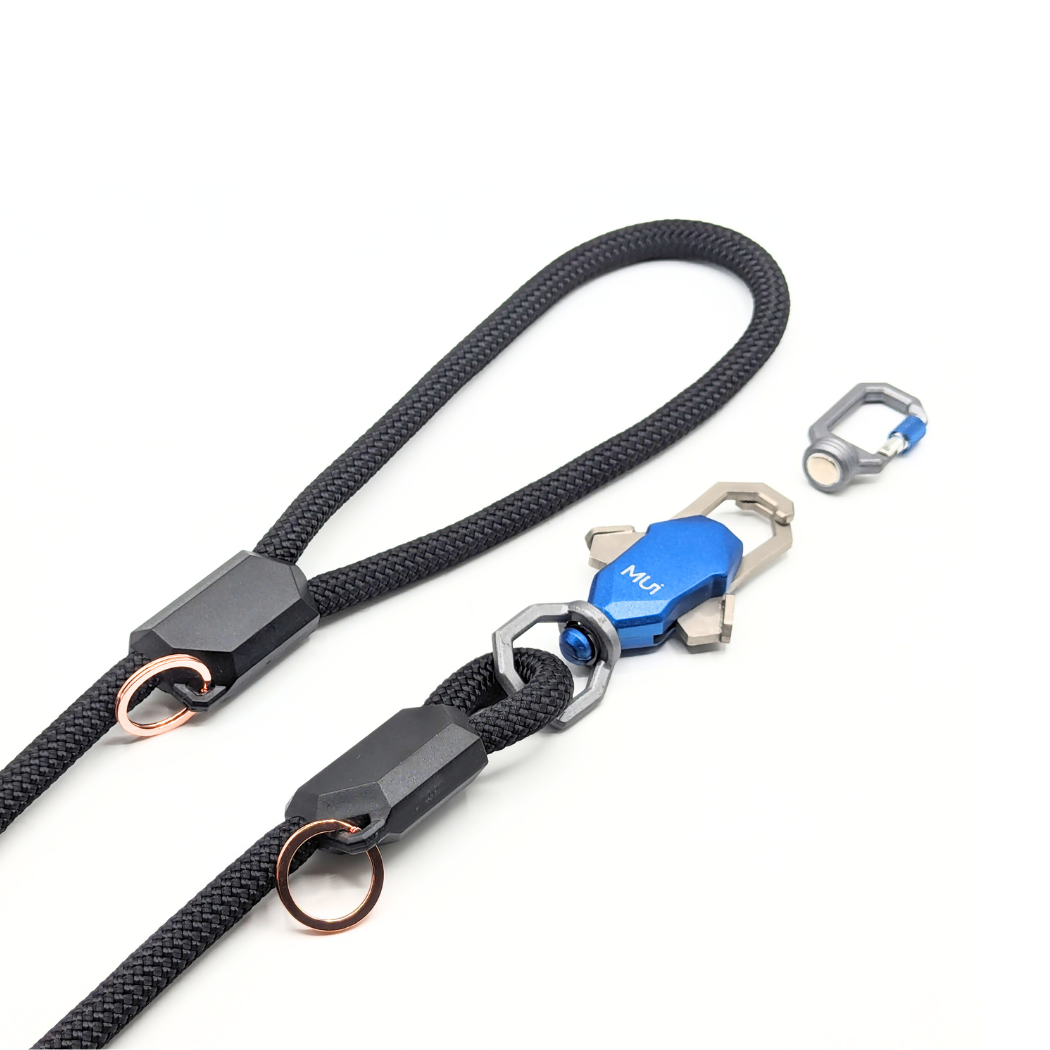 The Magnetic Leash