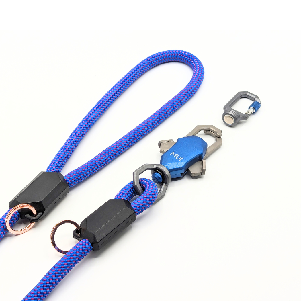 The Magnetic Leash