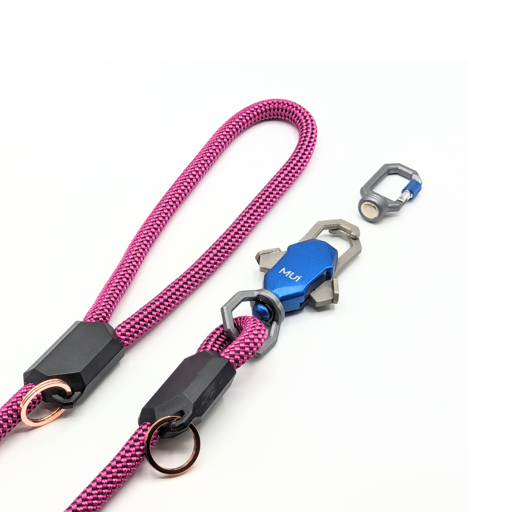 The Magnetic Leash