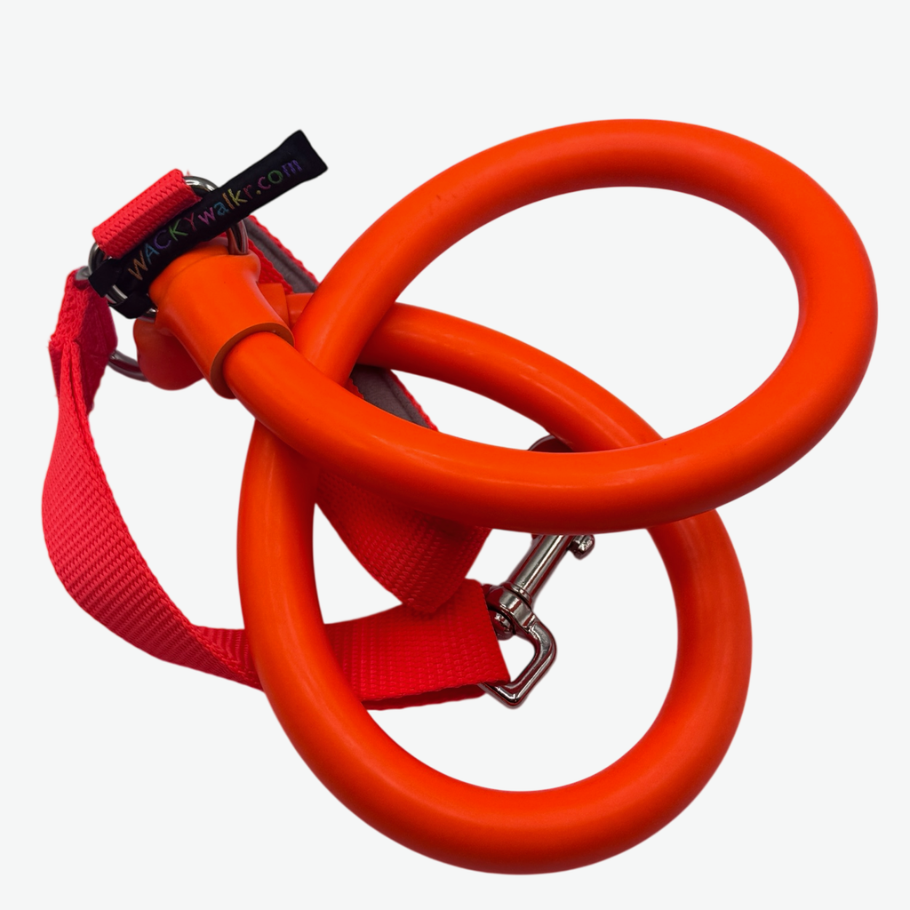 The No-Pull Rubber Leash