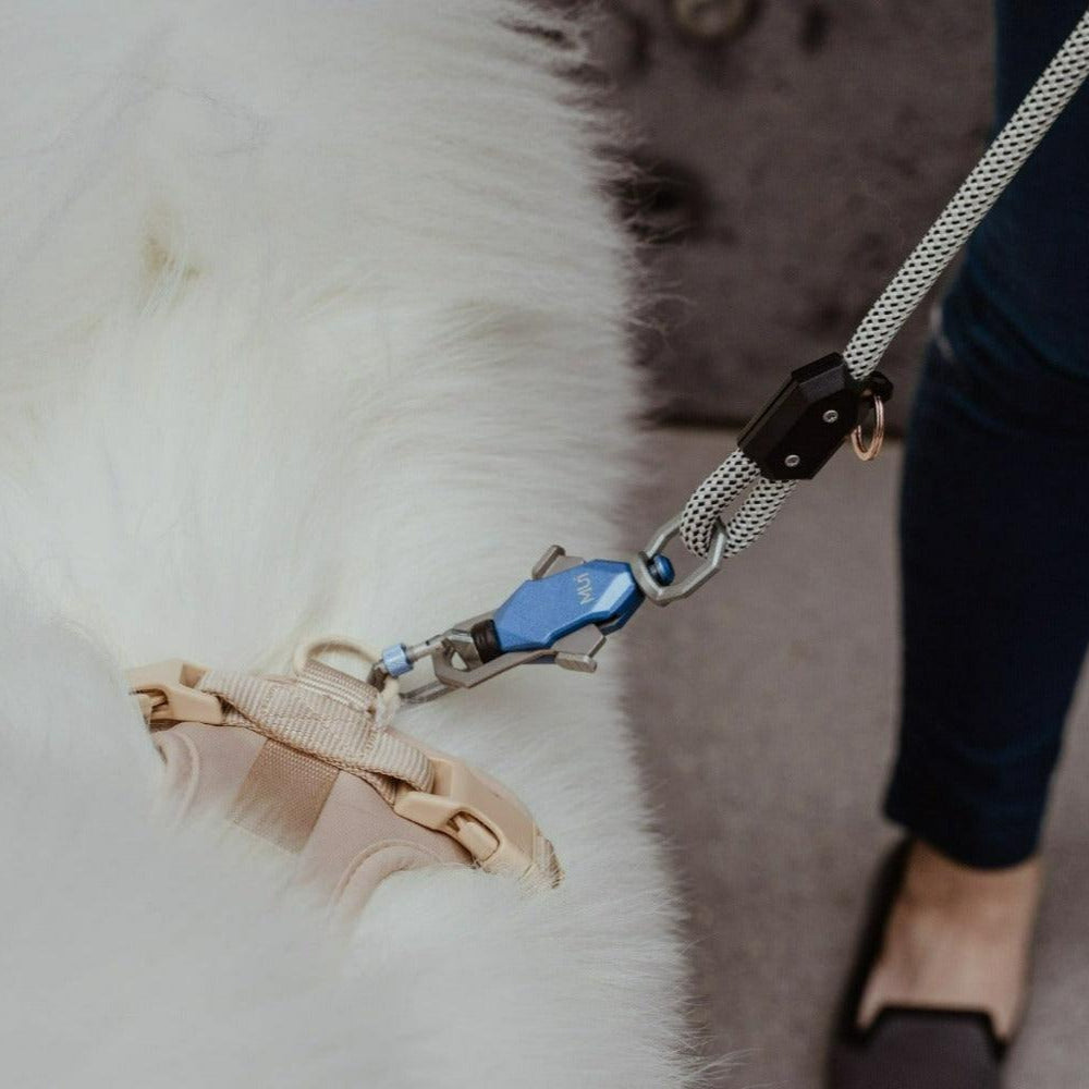 The Magnetic Leash