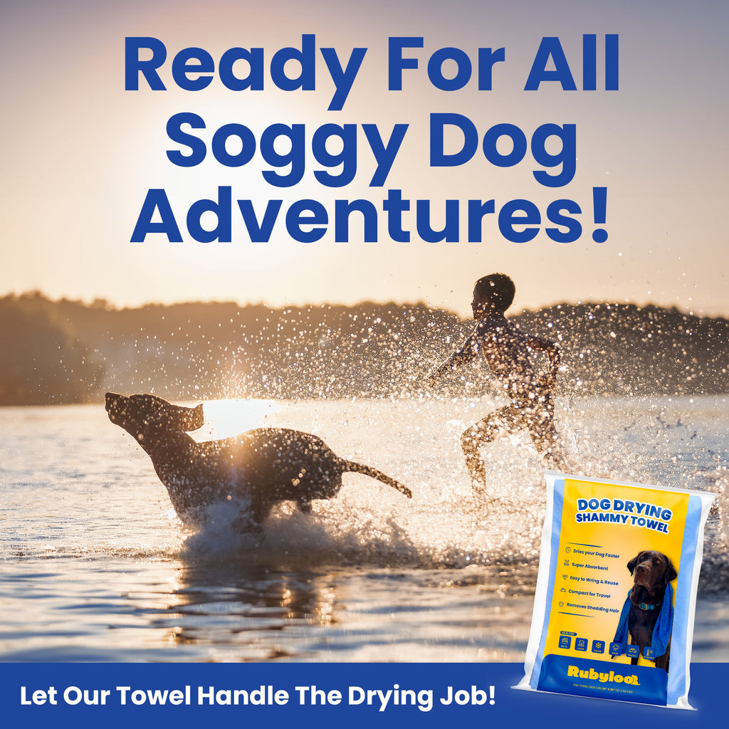 The Quick-Dry Shammy Towel