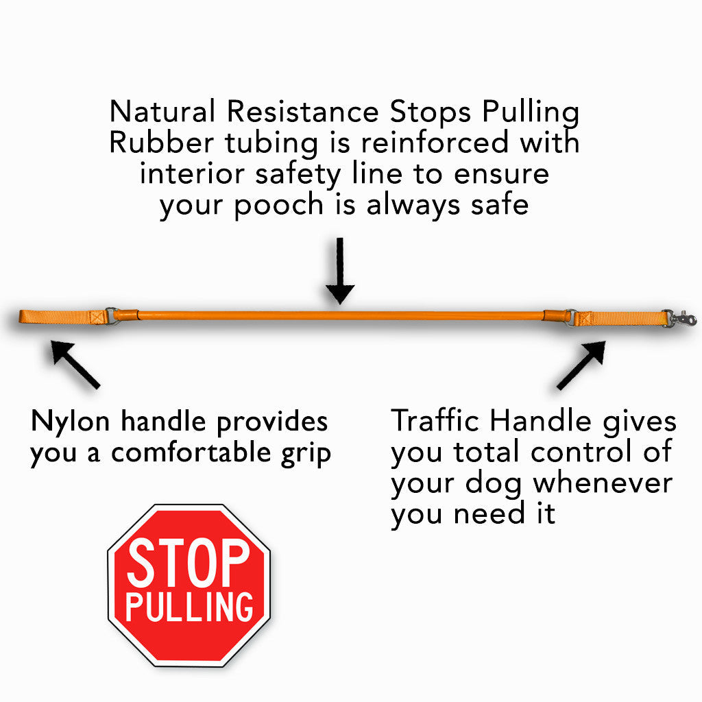 The No-Pull Rubber Leash