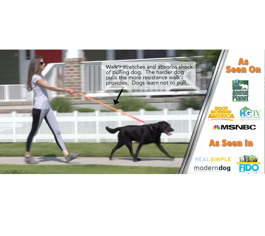 The No-Pull Rubber Leash