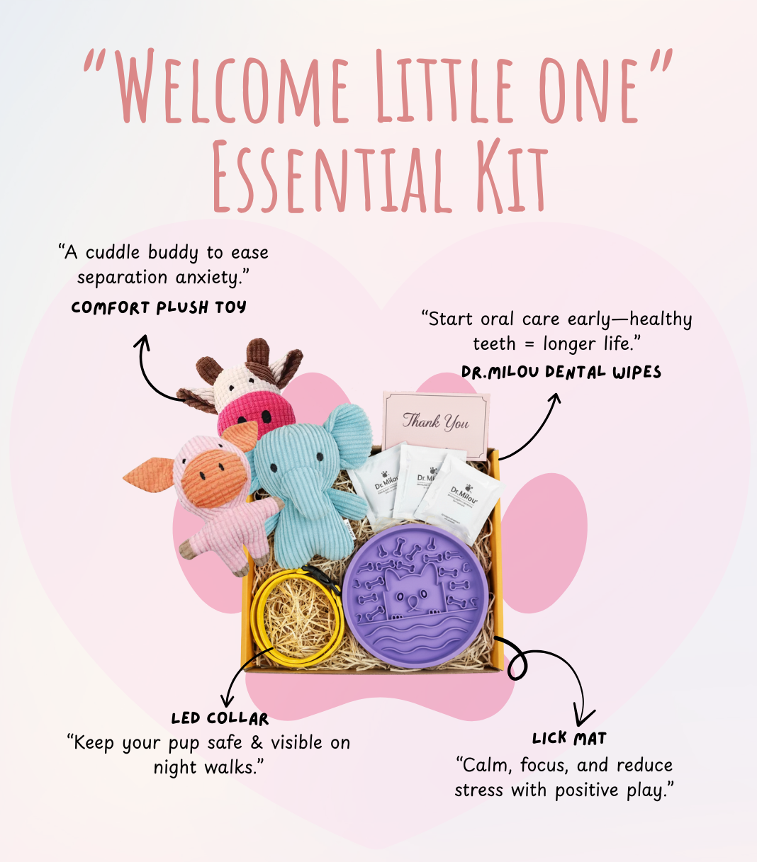 The New Puppy Essentials Kit