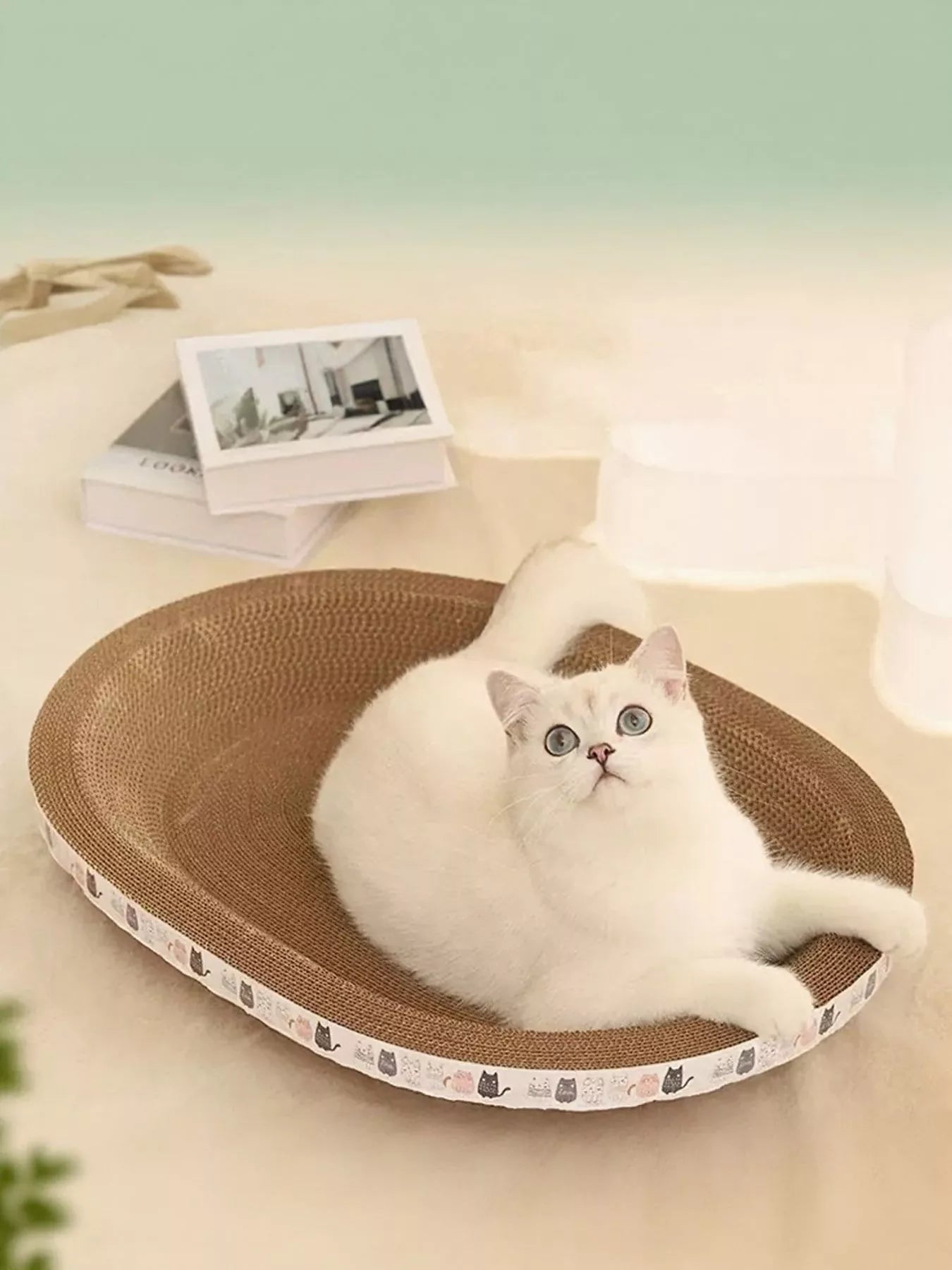 The Cat Scratching Lounge