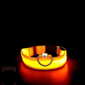 The LED Safety Collar, Yellow
