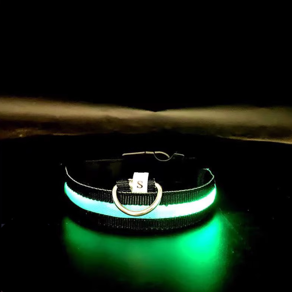 The LED Safety Collar, Rainbow