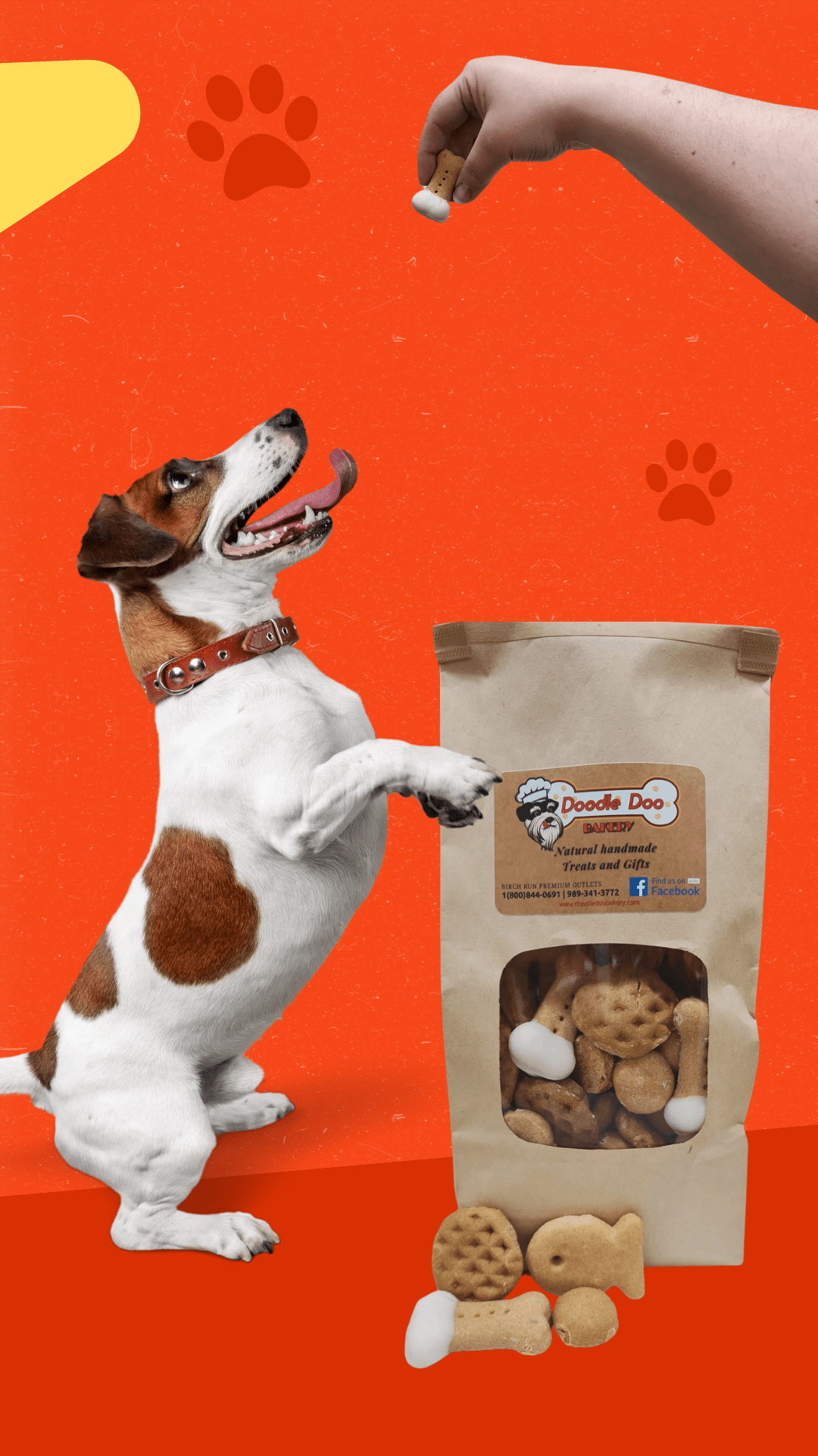 The Party Bag Treat Blend