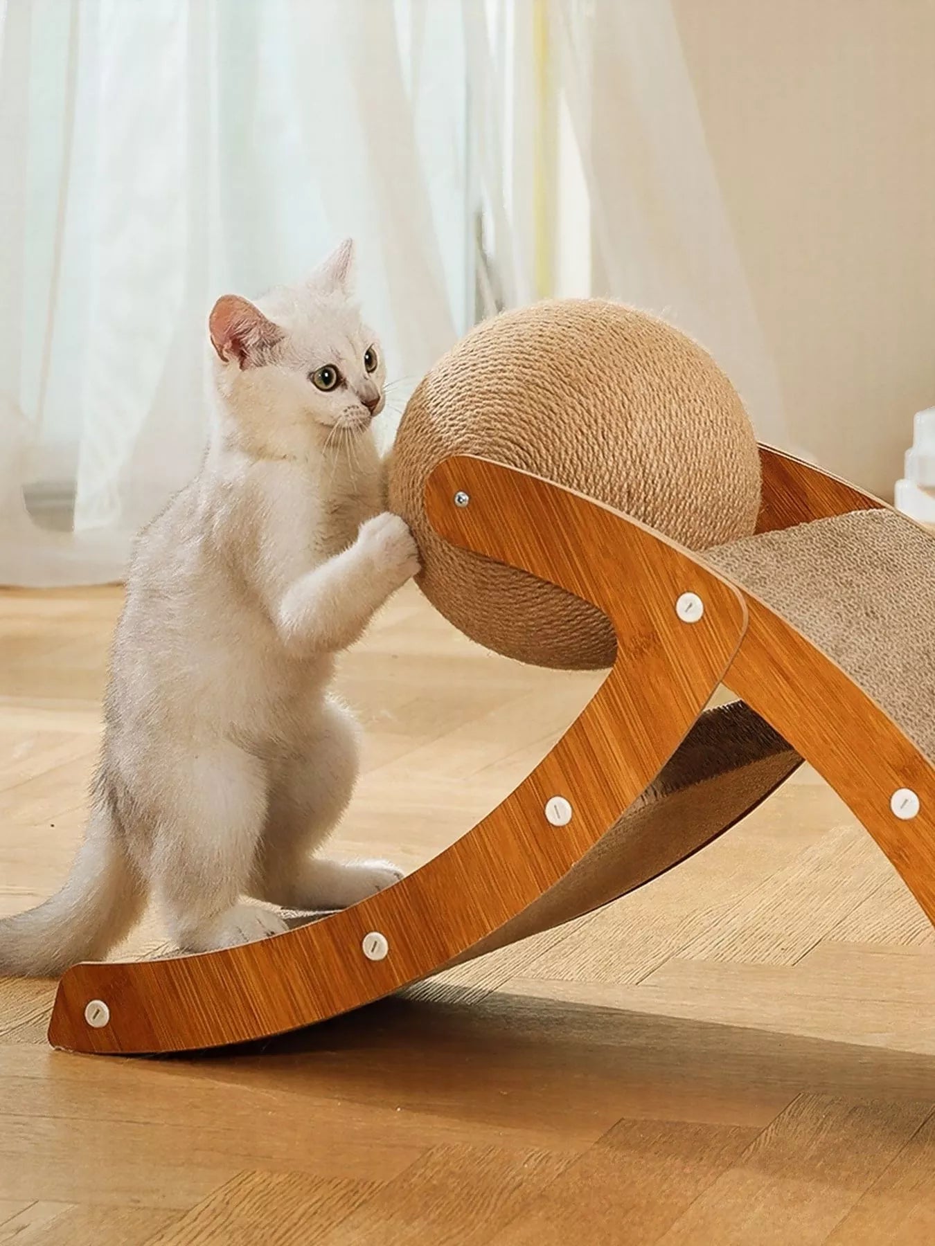 The Ball & Ramp Cat Scratcher