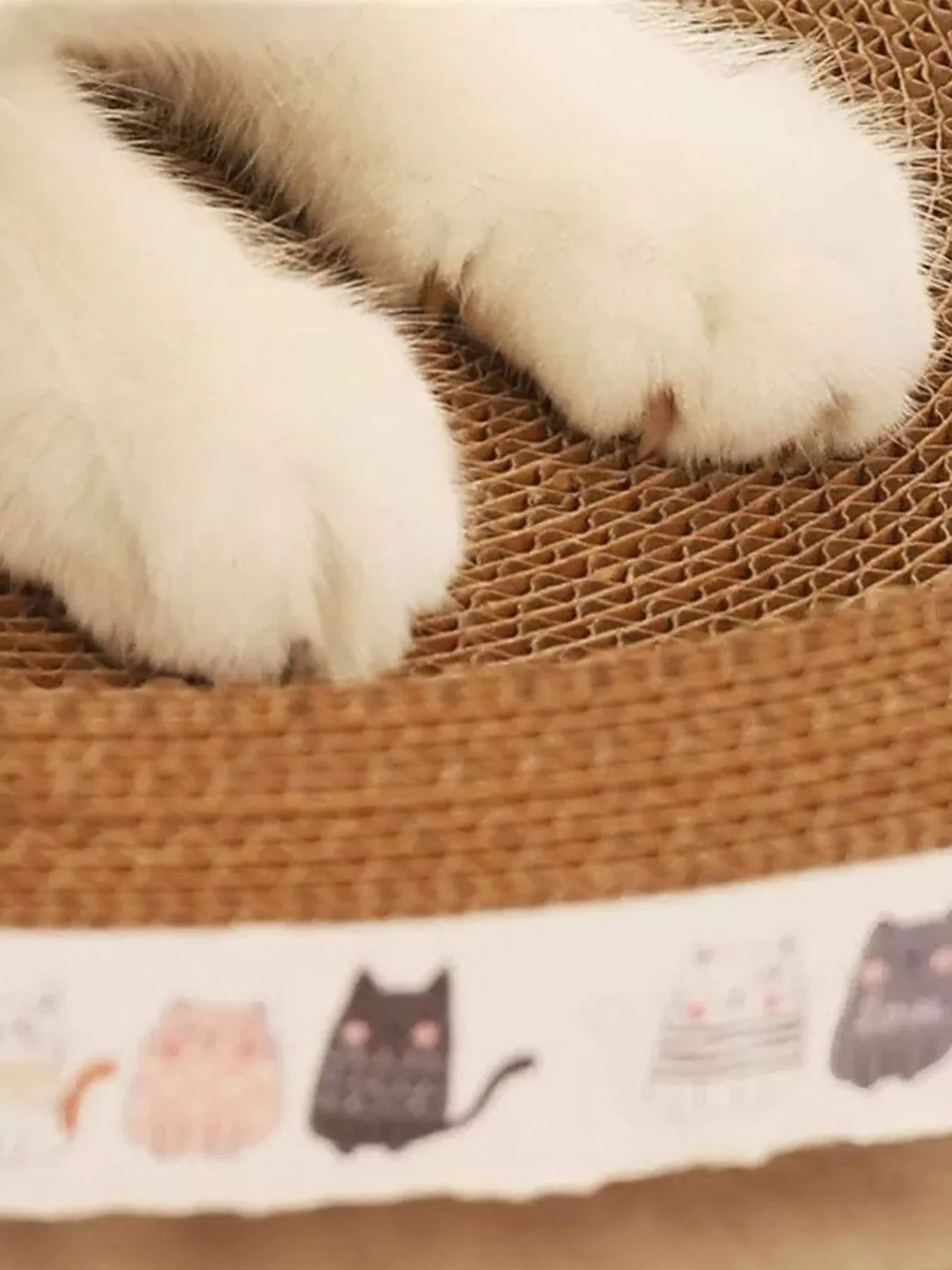 The Cat Scratching Lounge