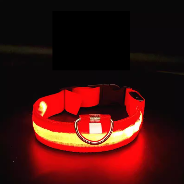 The LED Safety Collar, Red