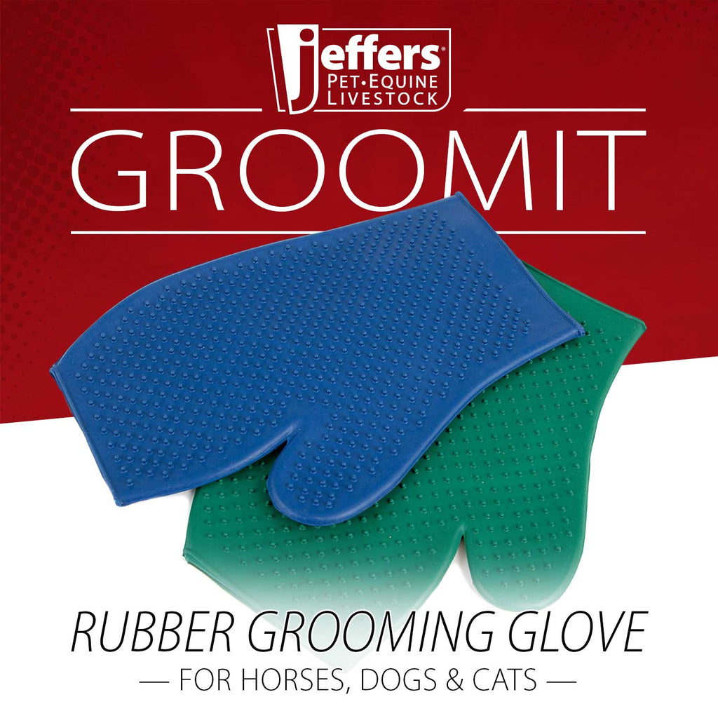The Grooming Glove