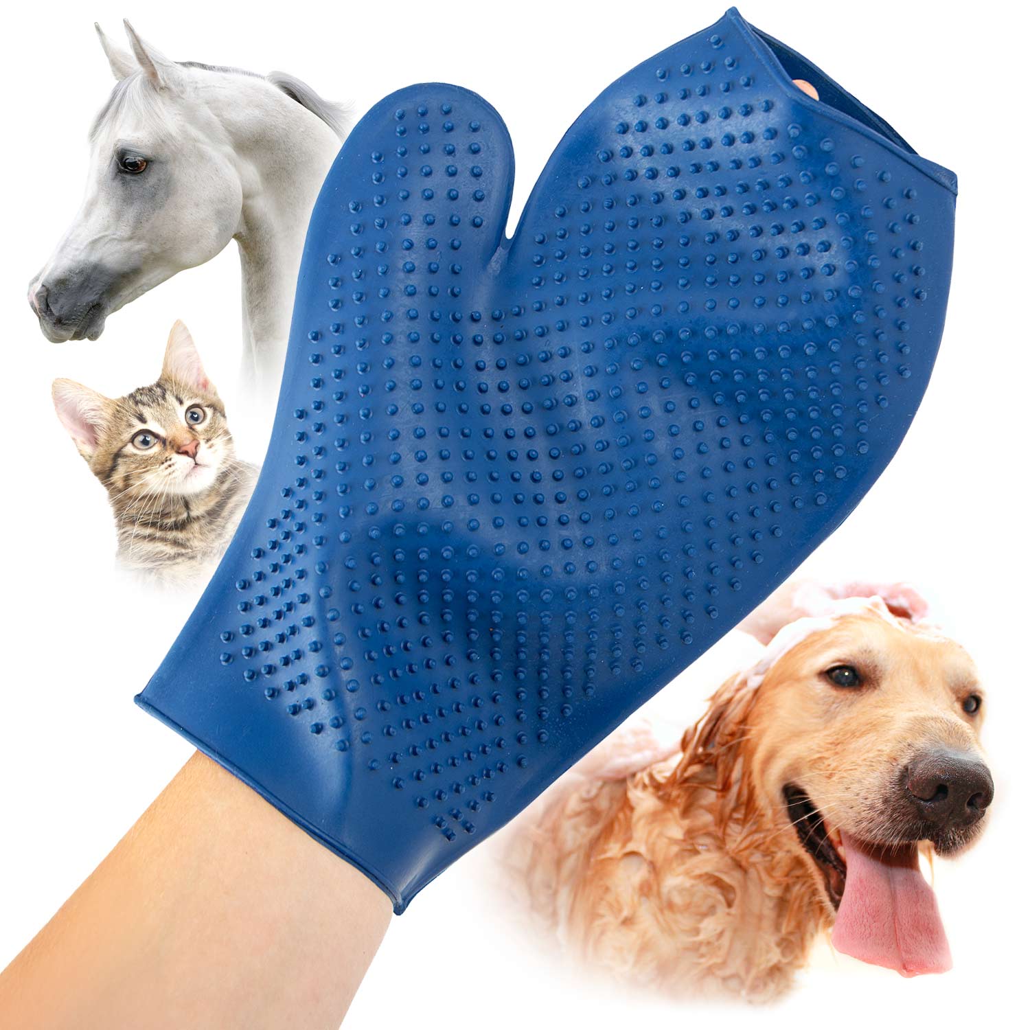 The Grooming Glove