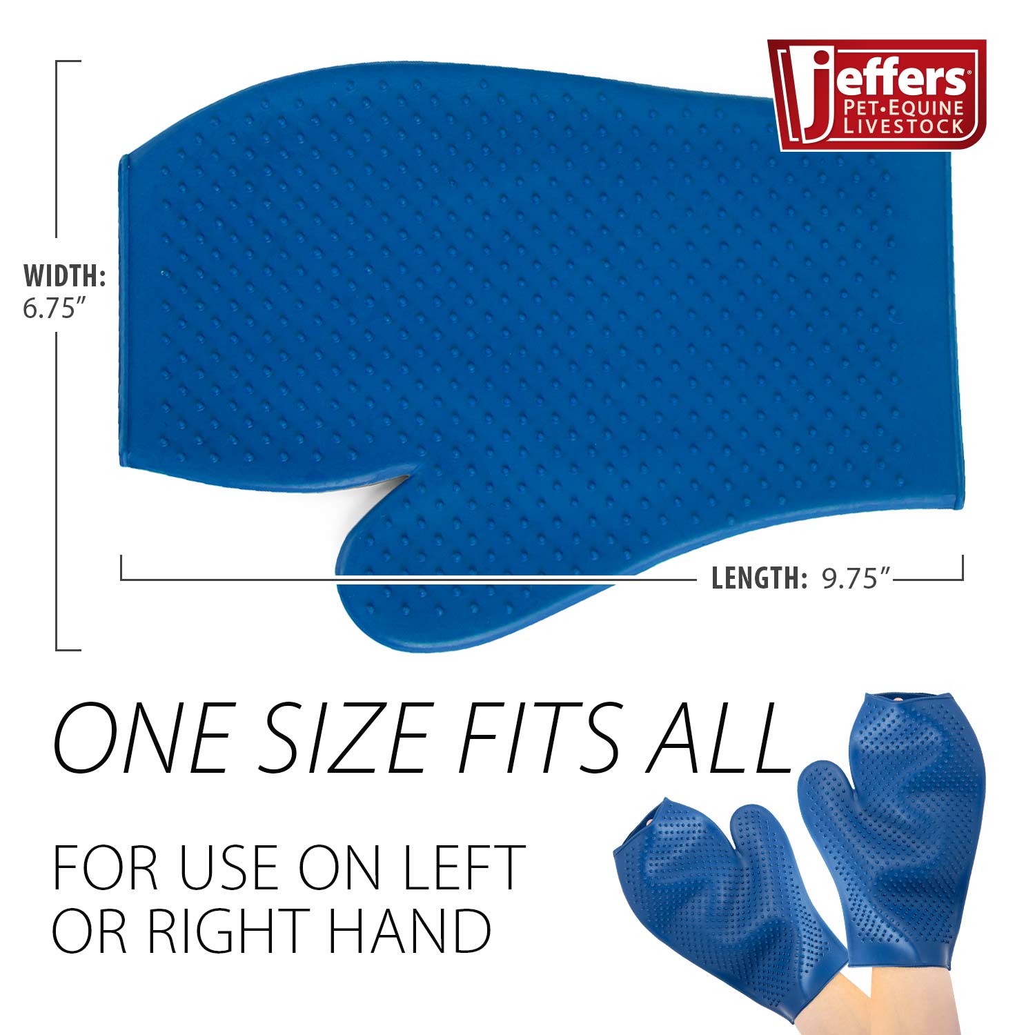 The Grooming Glove