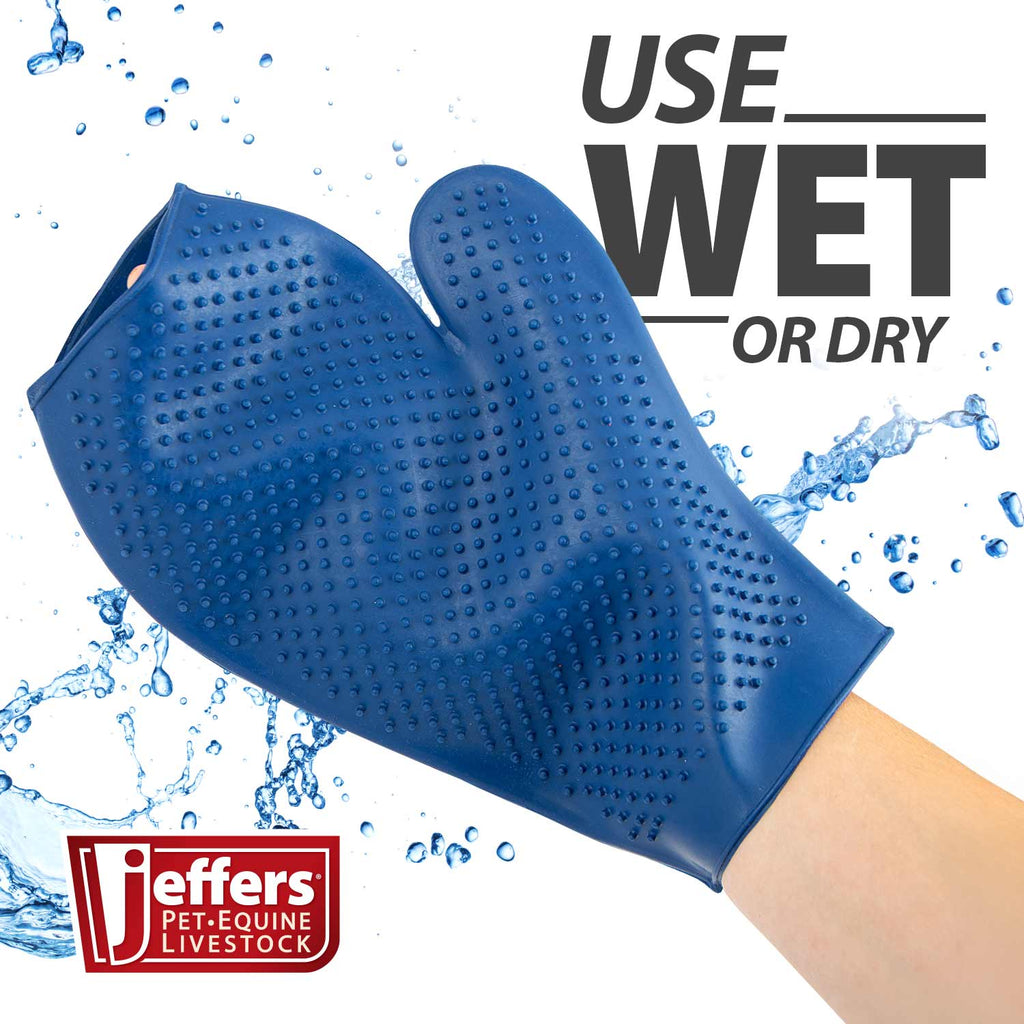 The Grooming Glove