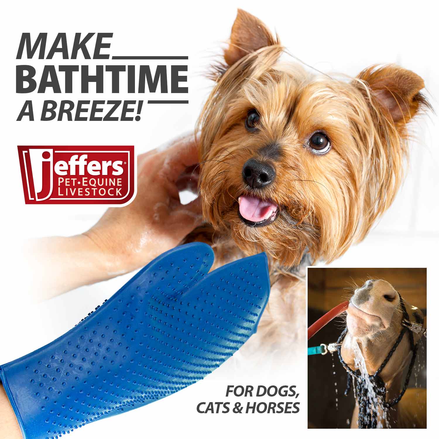 The Grooming Glove