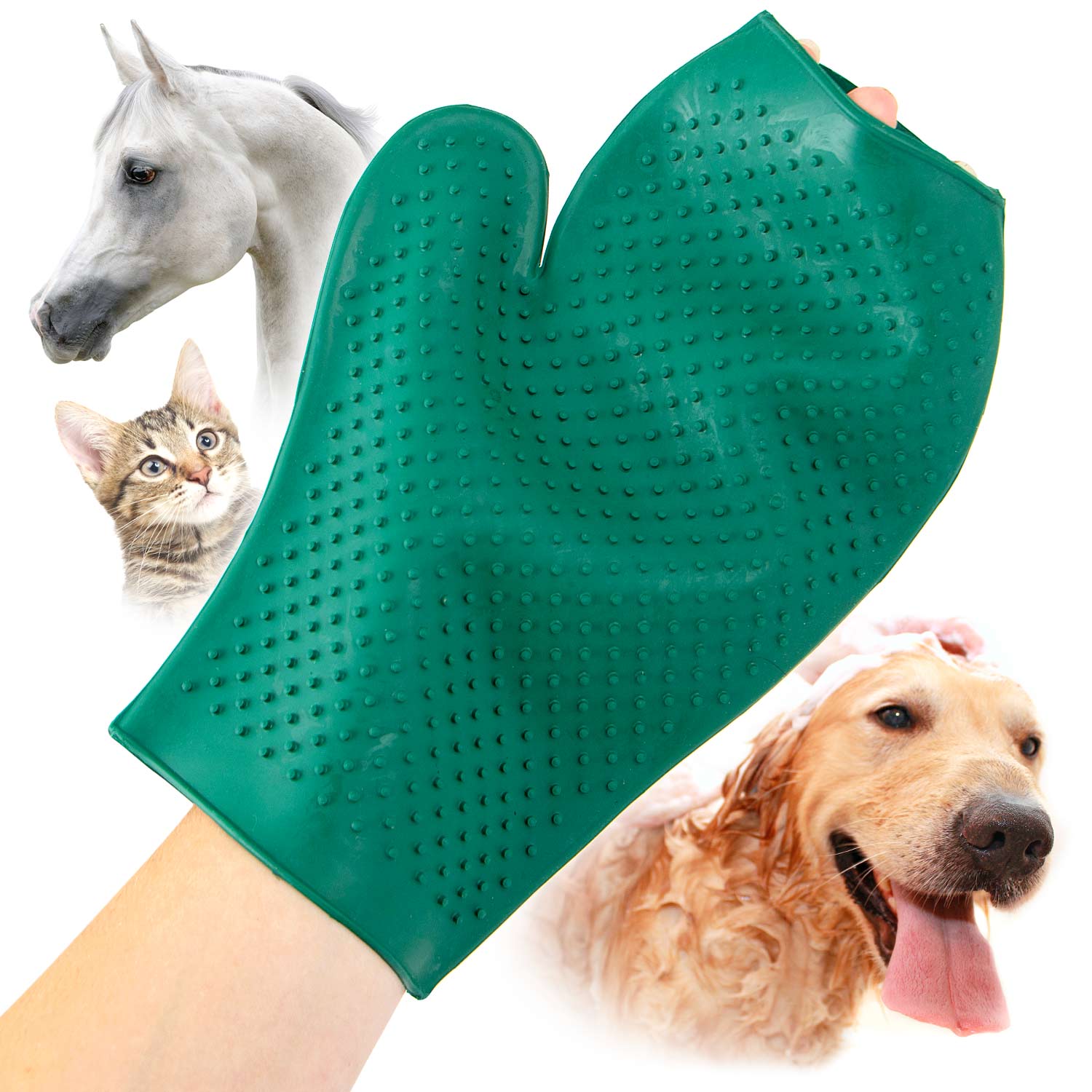 The Grooming Glove